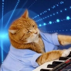 Keyboard Cat