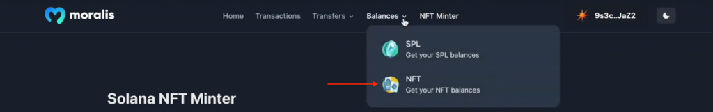 Avalanche boilerplate NFT balances tab.