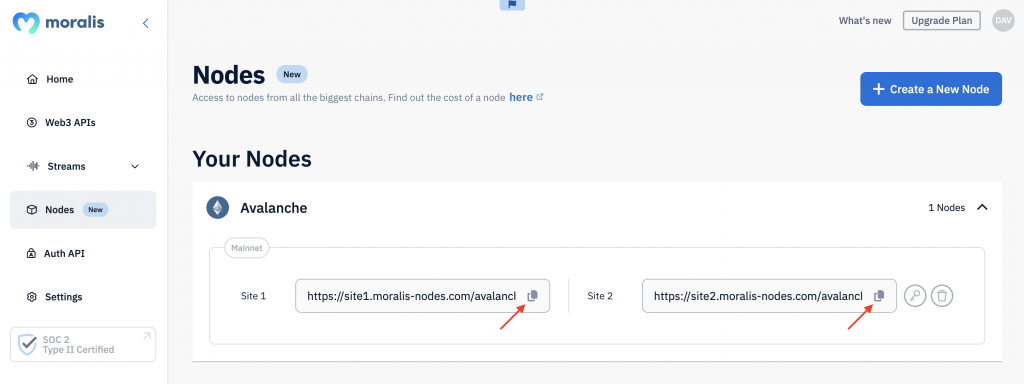 Arrows pointing at URLs for Avalanche nodes.