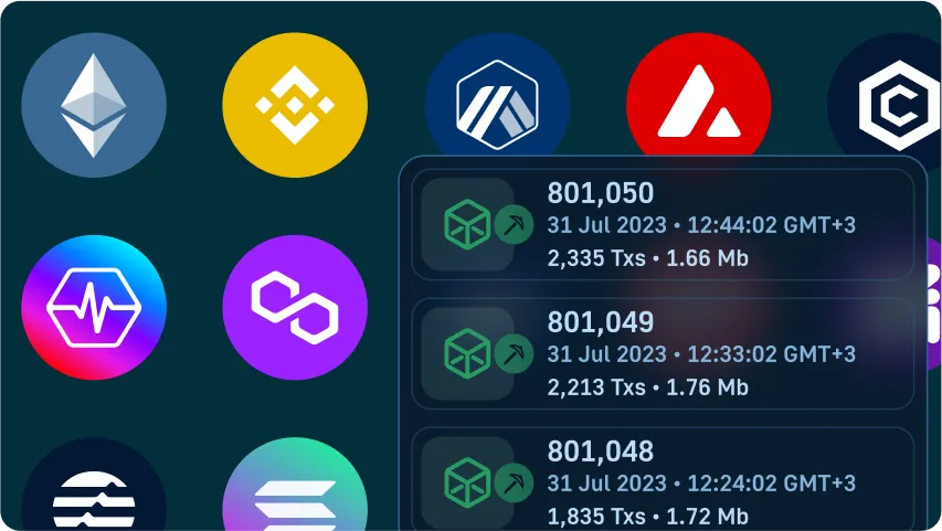 Multiple Blockchain Networks Image