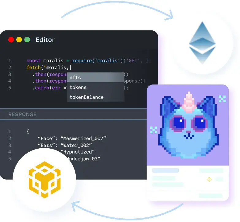 Cross-Chain NFT Data - Fetch NFT ownership, transactions, and metadata