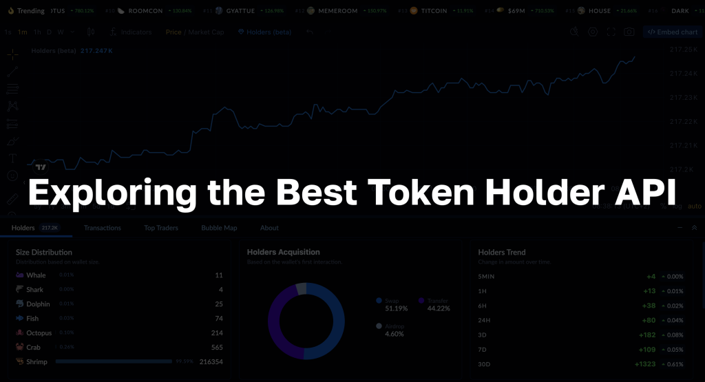 Text: "Exploring the best token holder api"