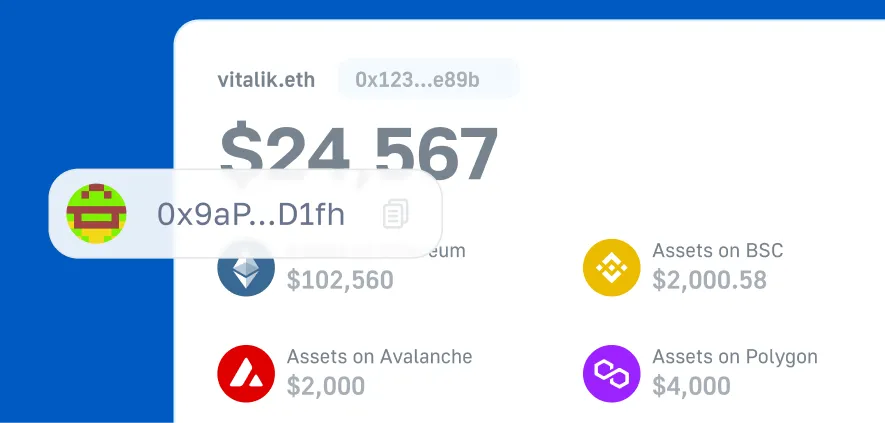 Dashboard displaying native wallet balances on multiple chains