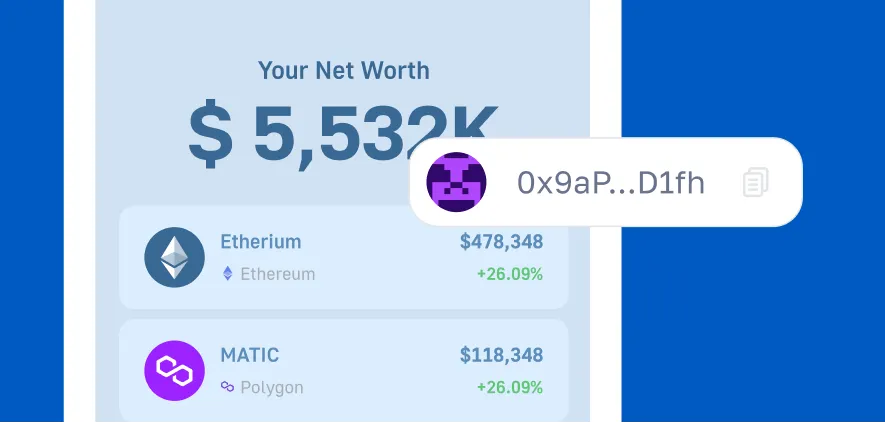Wallet net worth view in USD across multiple chains