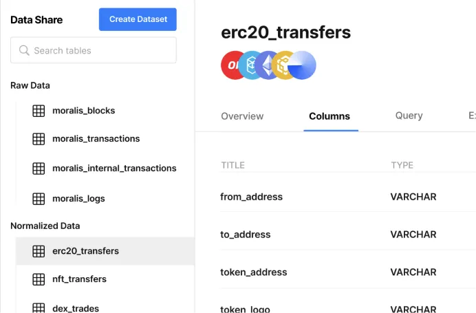 Step 1: Select the blockchain data to export, with a preview of the erc20_transfers dataset and its columns