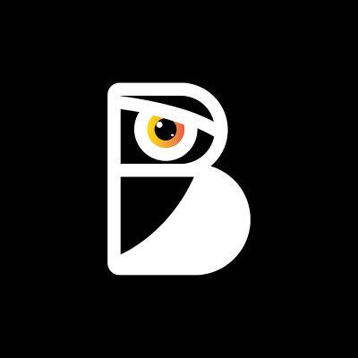 CyBirb logo