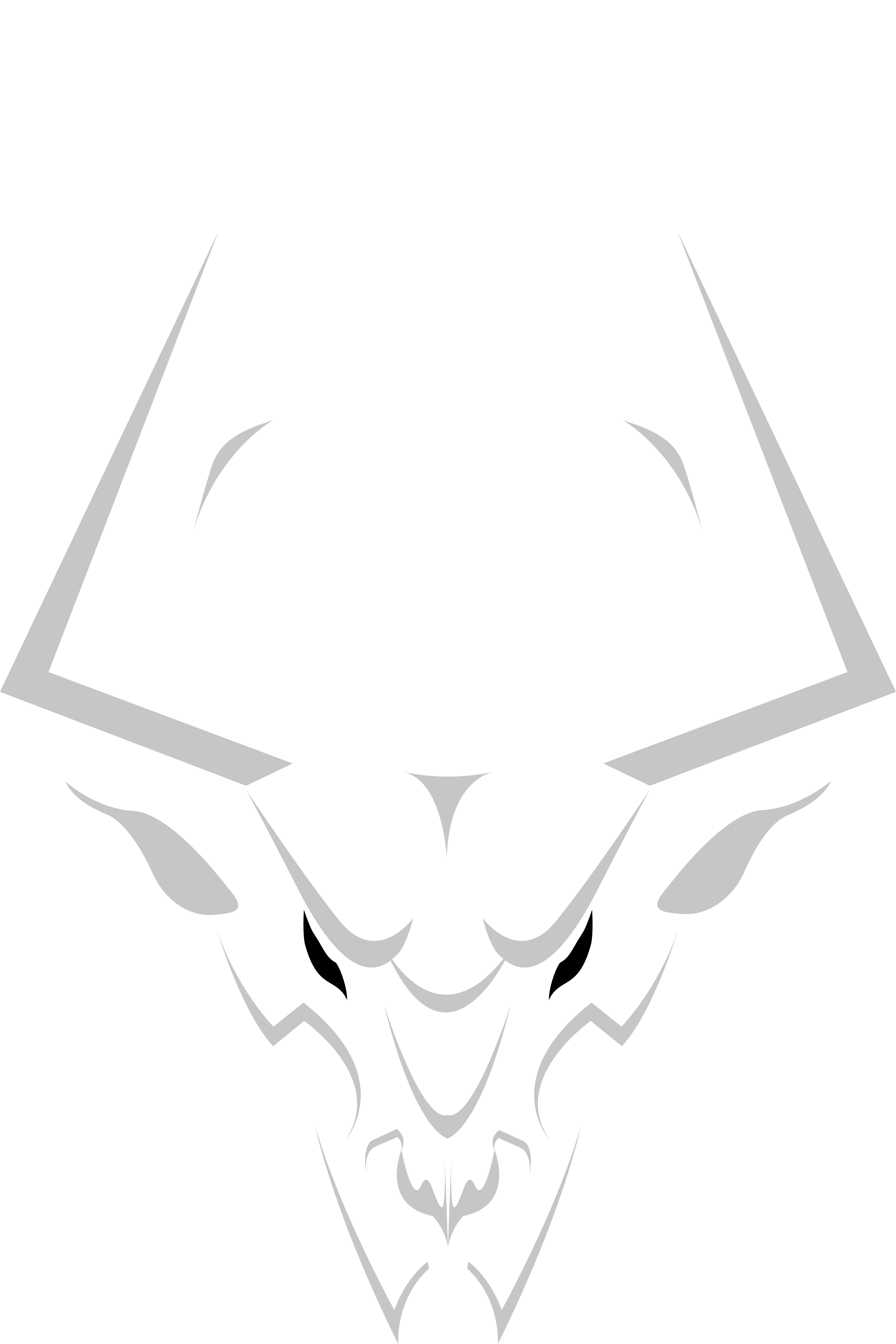 BullRun Digital logo